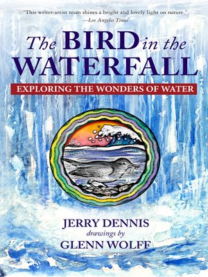 cover image of The Bird in the Waterfall